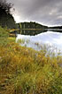 Autumn colours at swedish lake