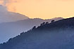 Tree silhouettes in the mountains Sierra de Tramuntana