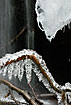 Icicles at stream