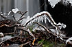 Icicles at water fall