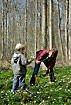 Mother and son picking wood anemones