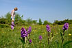 Mother and daughter walking in orchid meadow