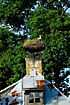 Stork nest on top of a chimney on an old house