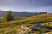 Typical norwegian mountain landscape