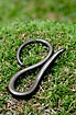 Slow worm wrapped in a number eight form om moss	