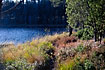 Colourful path along swedish lake
