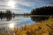 Swedish lake in fall color