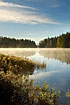 Morning mist at swedish lake