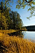 A swedish lake in autumn color