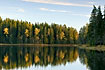 Tree mirror images in swedish forest lake