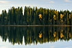 Forest with a parting is mirrored in a lake