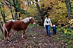 Mother and daughter walk past a horse in the autumn forest