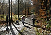 Family playing in the forest with fallen leaves
