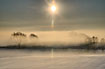 The sun is shining through the morning mist covering trees and snow covered fields