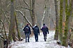 Nature photographers on path along the river that leads past forest with moss covered trees and snow
