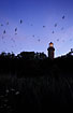 The lighthouse on Hirsholm surrounded by gulls