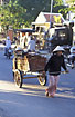 Vietnamese woman dragging a wagon