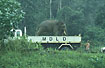 Elephant transport
