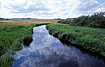 The danish stream - Lindenborg River