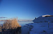 Winter by a danish lake
