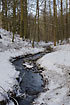 Small forest stream in a winter landscape