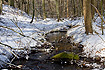 Winter near a small forest stream