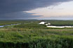 Vejlerne - a large danish wetland area
