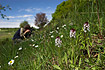 Photographer taking pictures of burnt orchids