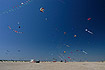 Kite festival on a danish beach