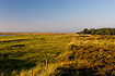 Coastal meadow and a heath area in Western Jutland