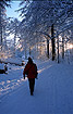 Woman walking in a snowcovered beech forest