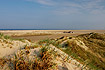 Sanddunes and beach at Rm in West Jutland