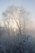 A frosty mist