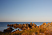 Rocky coast on the Baltic island Bornholm