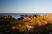 Rocky coast on the Baltic island Bornholm