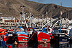 Fishing boats in Los Cristianos harbour