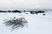 Winter landscape in Mols Bjerge National Park.