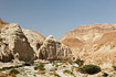 Vegetated wadi near the Dead Sea