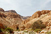Wadi with vegetation