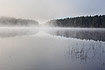Mist over a swedish forest lake