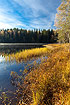 Swedish forest lake on a clear autumn morning