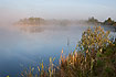 Misty summer morning by a small lake 