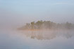 Misty morning lake with birch trees on the distant shore