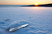 Ice on a frozen lake at sunrise