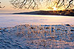 Sunrise over a frozen lake (Moss)