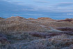 Coastal dune landscape on an early morning