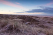 Dune landscape just before sunrise