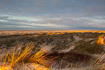 Early morning in coastal dunes of Fan, Denmark