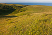 Species rich grassland on the danish island Sams