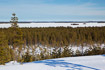 Finnish winter landscape - forest and lakes